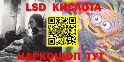 амф Донской