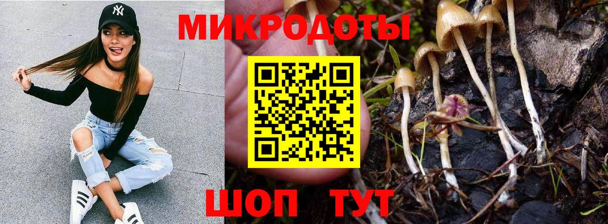 Назарово  Галлюциногенные грибы ЛСД  Вход с VPN 