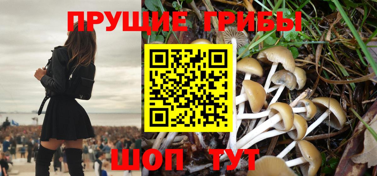 Галлюциногенные грибы Magic Shrooms Назарово